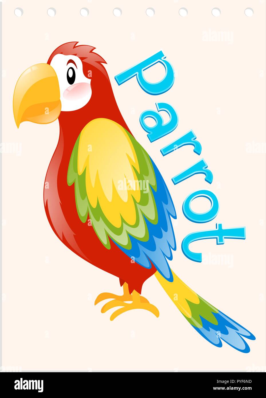 Wordcard with word and picture parrot illustration Stock Vector Image