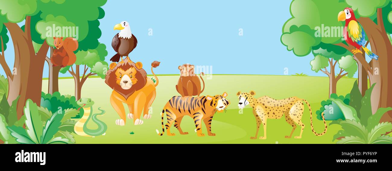 Wild animals in the field illustration Stock Vector Image & Art - Alamy