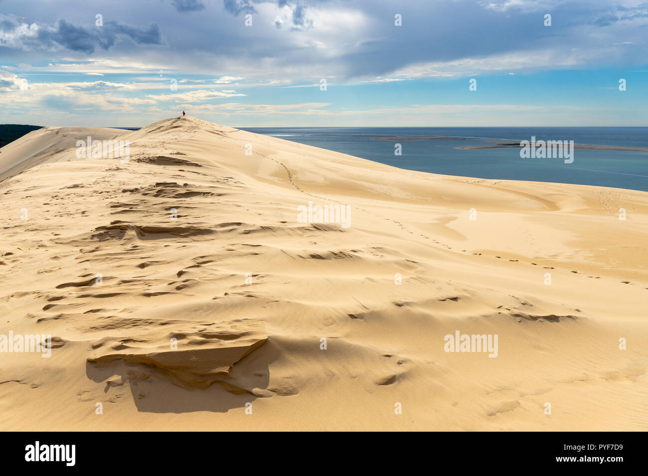 Landscape of the the Pyla dune, located in the Arcachon bay in Aquitaine, France, the biggest in Europe Stock Photo