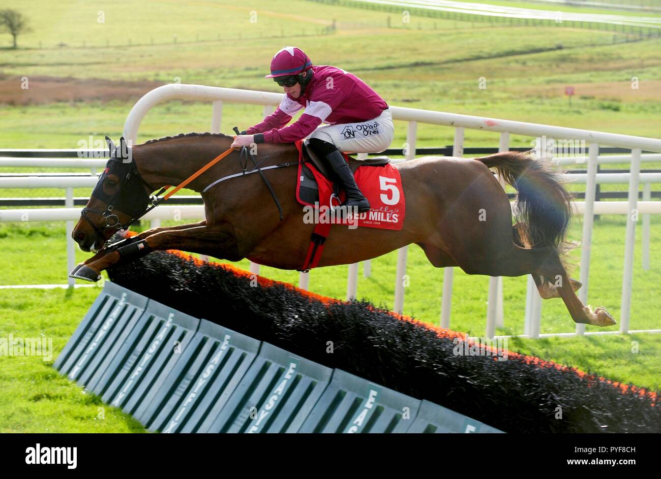 Felix Desjy and Jack Kennedy jump the last to win the Connollys Red Mills Irish EBF Auction Maiden Race during day one of the October Festival at Galway Racecourse. Stock Photo