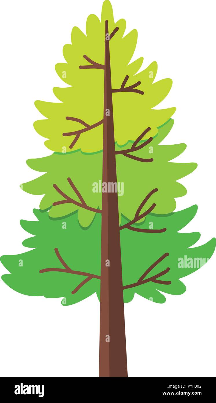 Pine tree on white background illustration Stock Vector Image & Art - Alamy