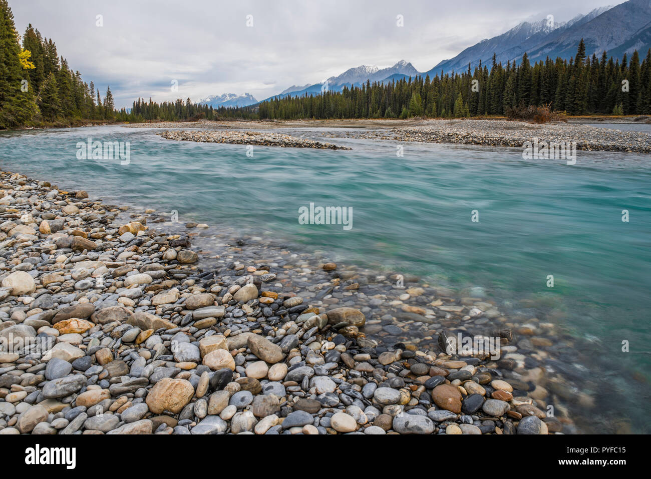 Kootenay River, cobble stones, Kootenay NP, British Columbia, Canada, by Bruce Montagne/Dembinsky Photo Assoc Stock Photo
