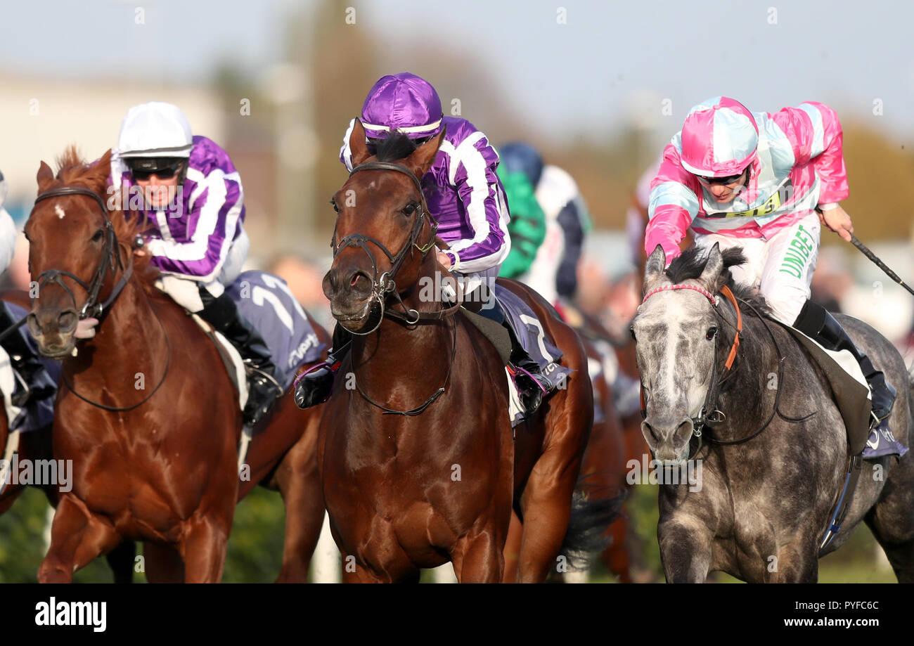 Magna Grecia ridden by Donnacha O'Brien (centre) wins The Vertem Futurity Trophy Stakes during The Vertem Futurity Trophy day at Doncaster Racecourse. Stock Photo