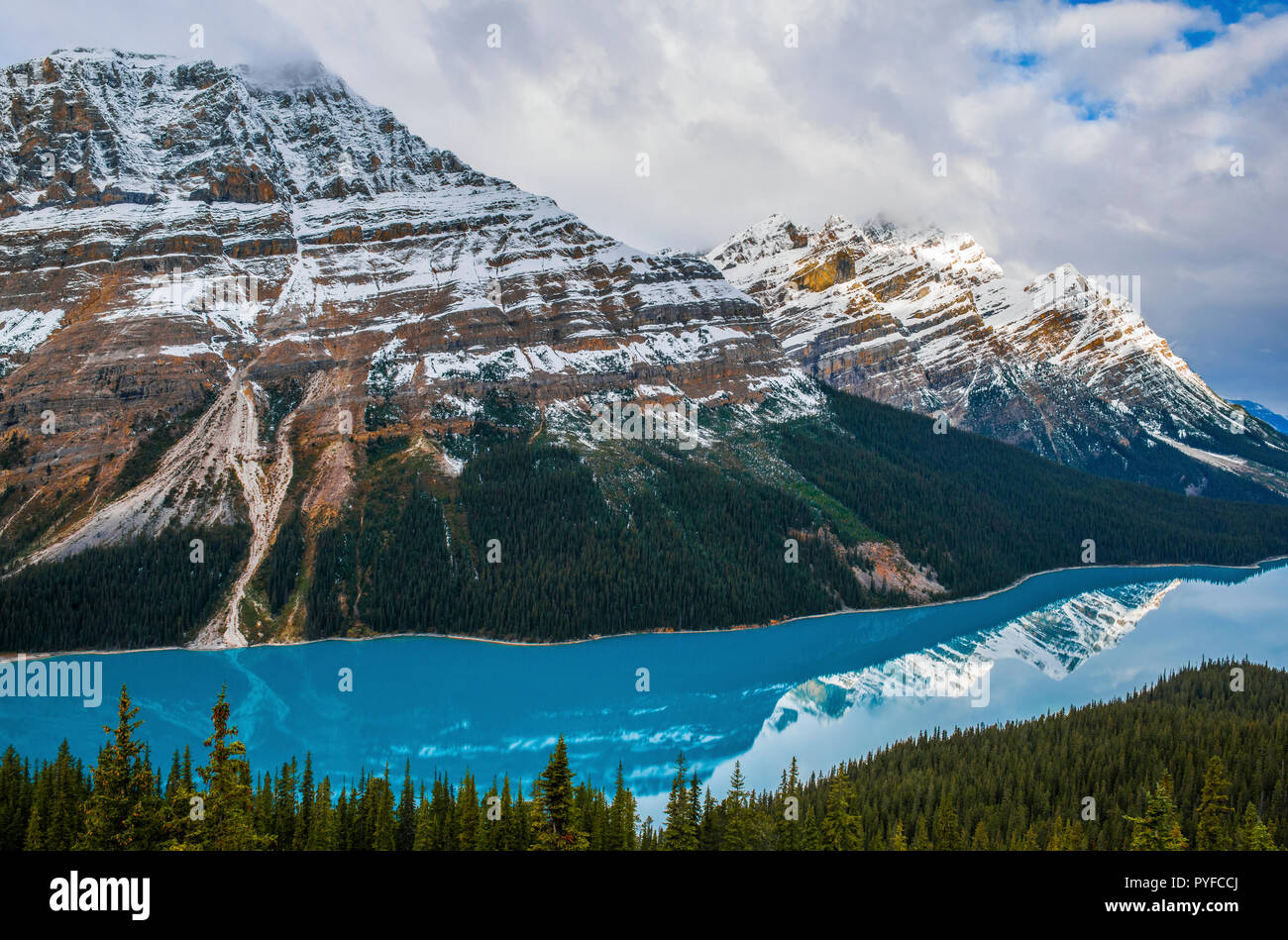 Peyto Lake, Banff NP, Alberta, Canada, by Bruce Montagne/Dembinsky Photo Assoc Stock Photo