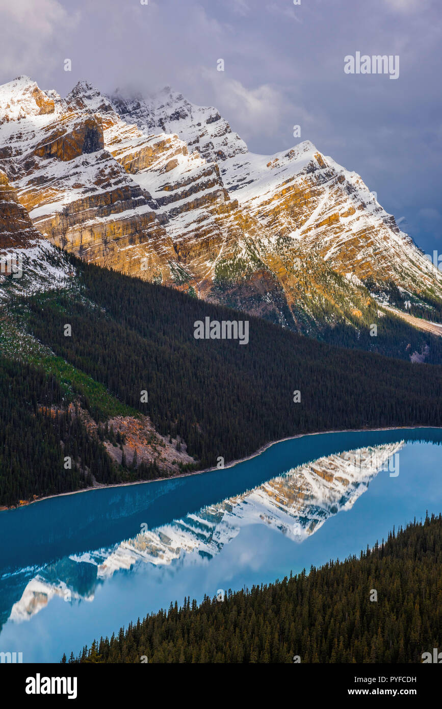Peyto Lake, Banff NP, Alberta, Canada, by Bruce Montagne/Dembinsky Photo Assoc Stock Photo