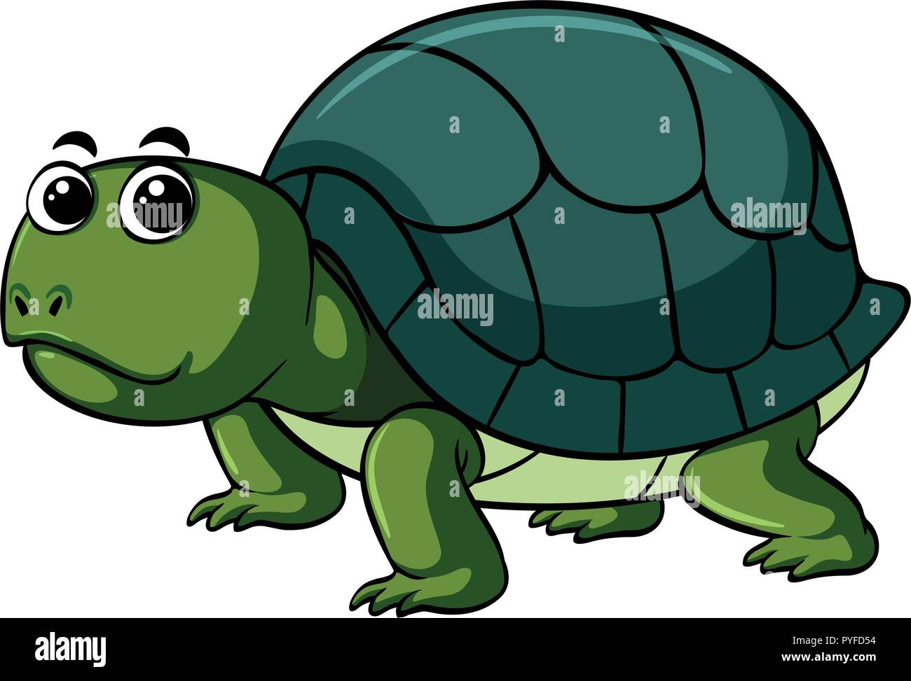 Cute turtle on white background illustration Stock Vector Image & Art ...