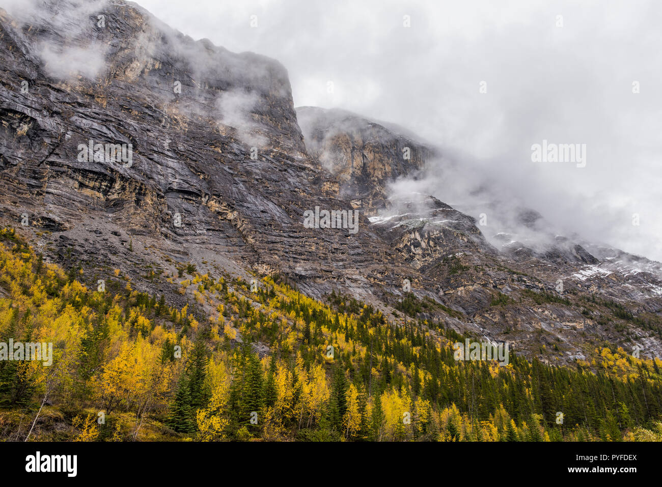 Cirrus Mountain, Autumn, Banff NP, Alberta, Canada, by Bruce Montagne/Dembinsky Photo Assoc Stock Photo
