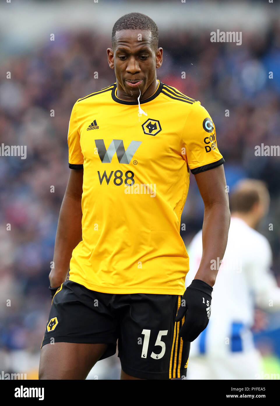Wolverhampton Wanderers' Willy Boly during the Premier League match at The AMEX Stadium, Brighton. PRESS ASSOCIATION Photo. Picture date: Saturday October 27, 2018. See PA story SOCCER Brighton. Photo credit should read: Gareth Fuller/PA Wire. RESTRICTIONS: No use with unauthorised audio, video, data, fixture lists, club/league logos or 'live' services. Online in-match use limited to 120 images, no video emulation. No use in betting, games or single club/league/player publications. Stock Photo