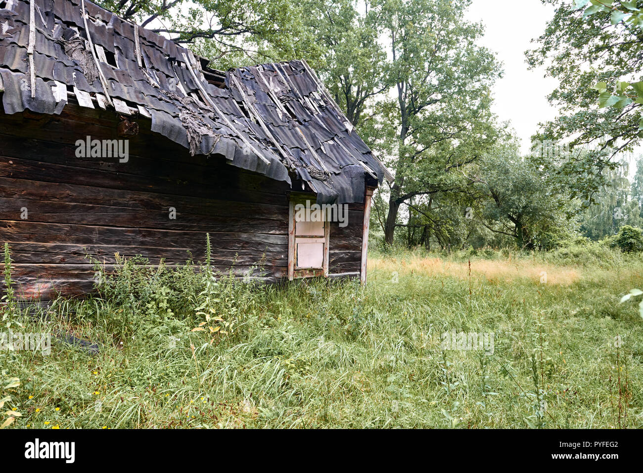old wooden house in the forest Stock Photo - Alamy