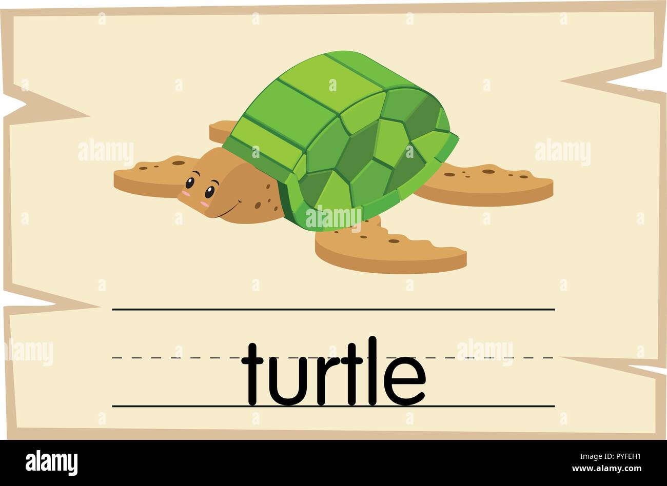 Черепаха по английскому. Карточка черепаха. Черепаха перевод на английский язык. Черепаха по английскому. Карточки по английскому языку turtle.