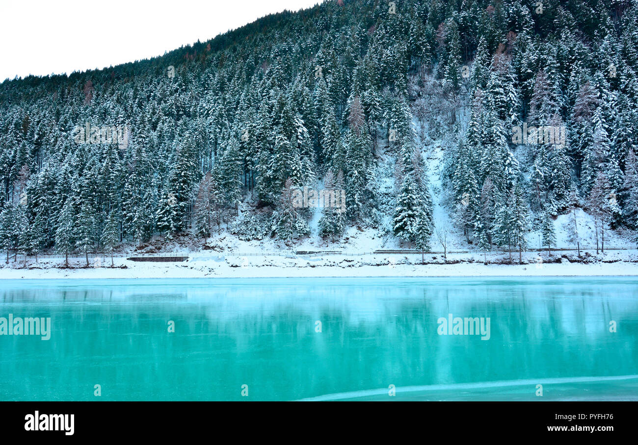 Frozen foresta hi-res stock photography and images - Alamy
