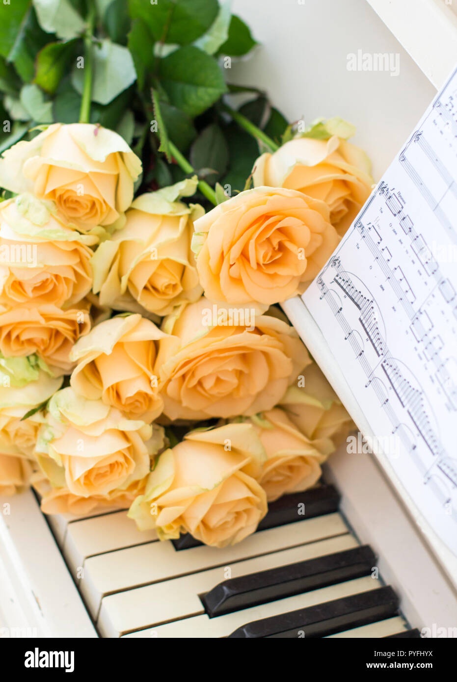 Peach roses on the piano with notes Stock Photo Alamy