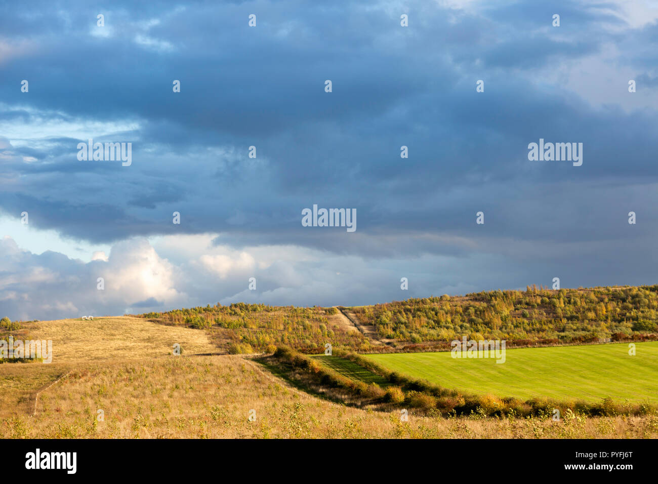 Bright pre-sunset light and dramatic clouds over Victory Wood, Yorkletts, Whitstable, Kent, UK. Stock Photo