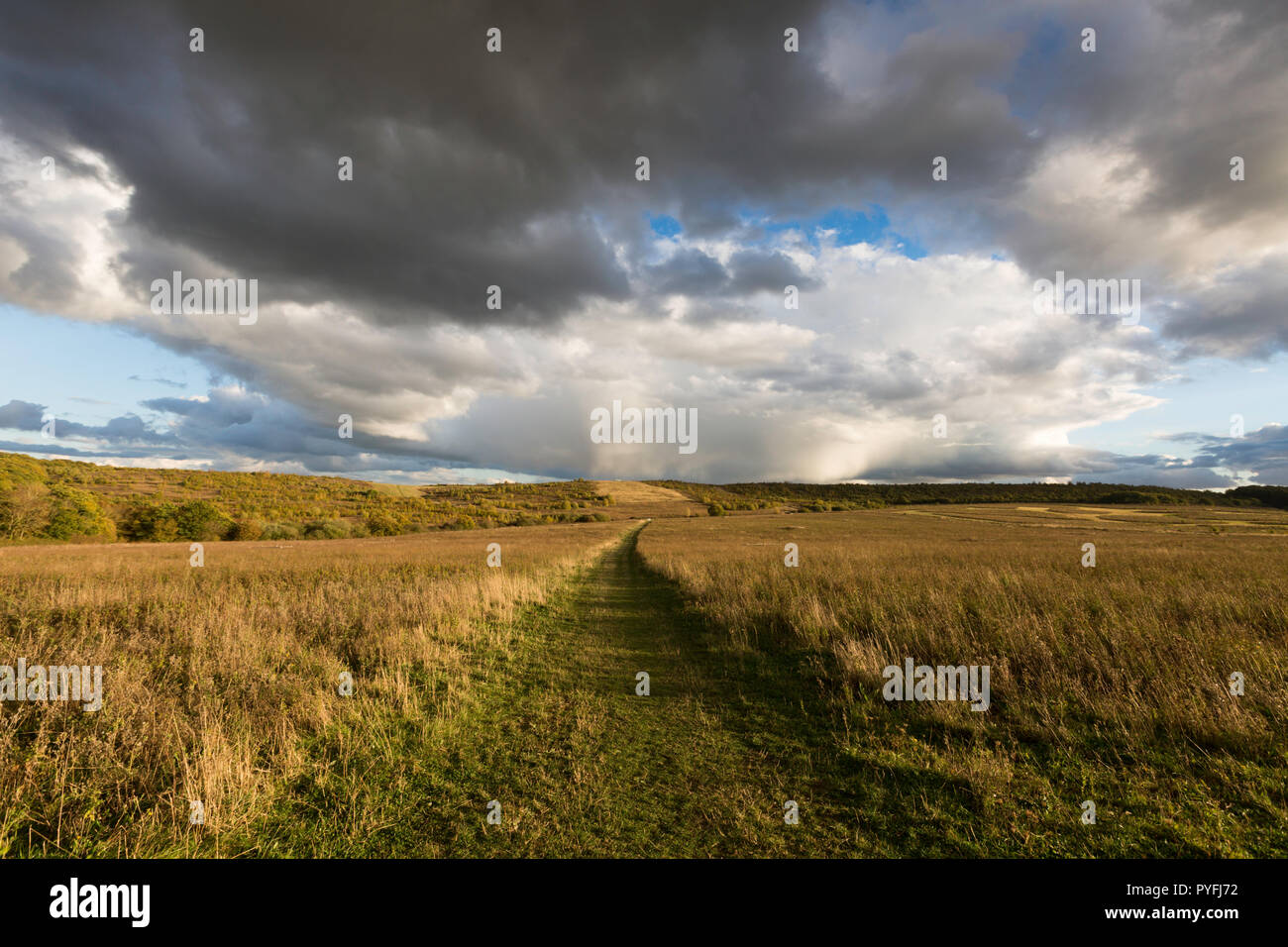 Bright pre-sunset light and dramatic clouds over Victory Wood, Yorkletts, Whitstable, Kent, UK. Stock Photo