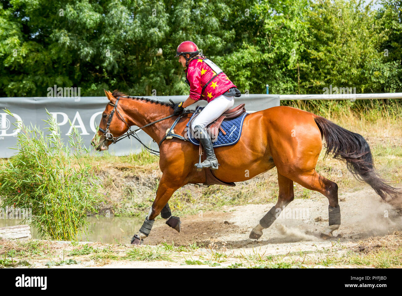 Horse rider crossing water equestrian hi-res stock photography and ...
