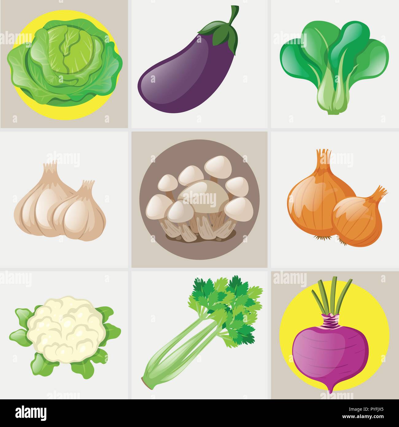 Different types of fresh vegetables illustration Stock Vector