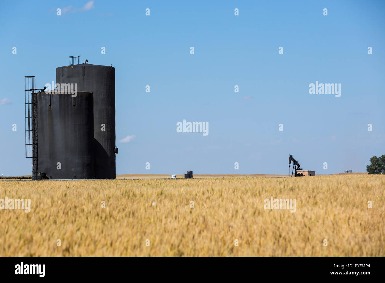 Oil pumpjack and tanks seen through shimmering heat waves surrounded by farmer's field of grain located near Kindersley, Saskachewan Canada. Stock Photo