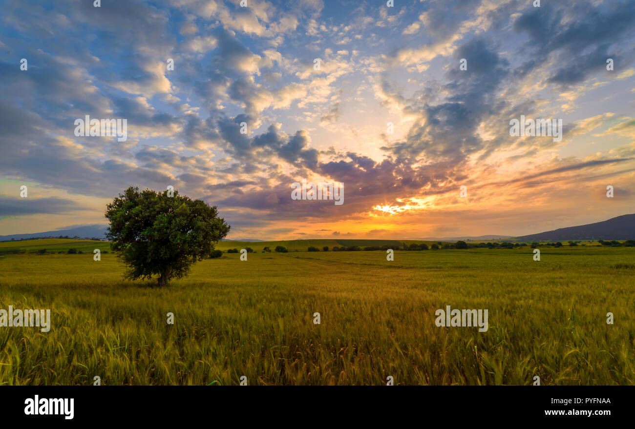 best photos treated with Stock Photo Alamy