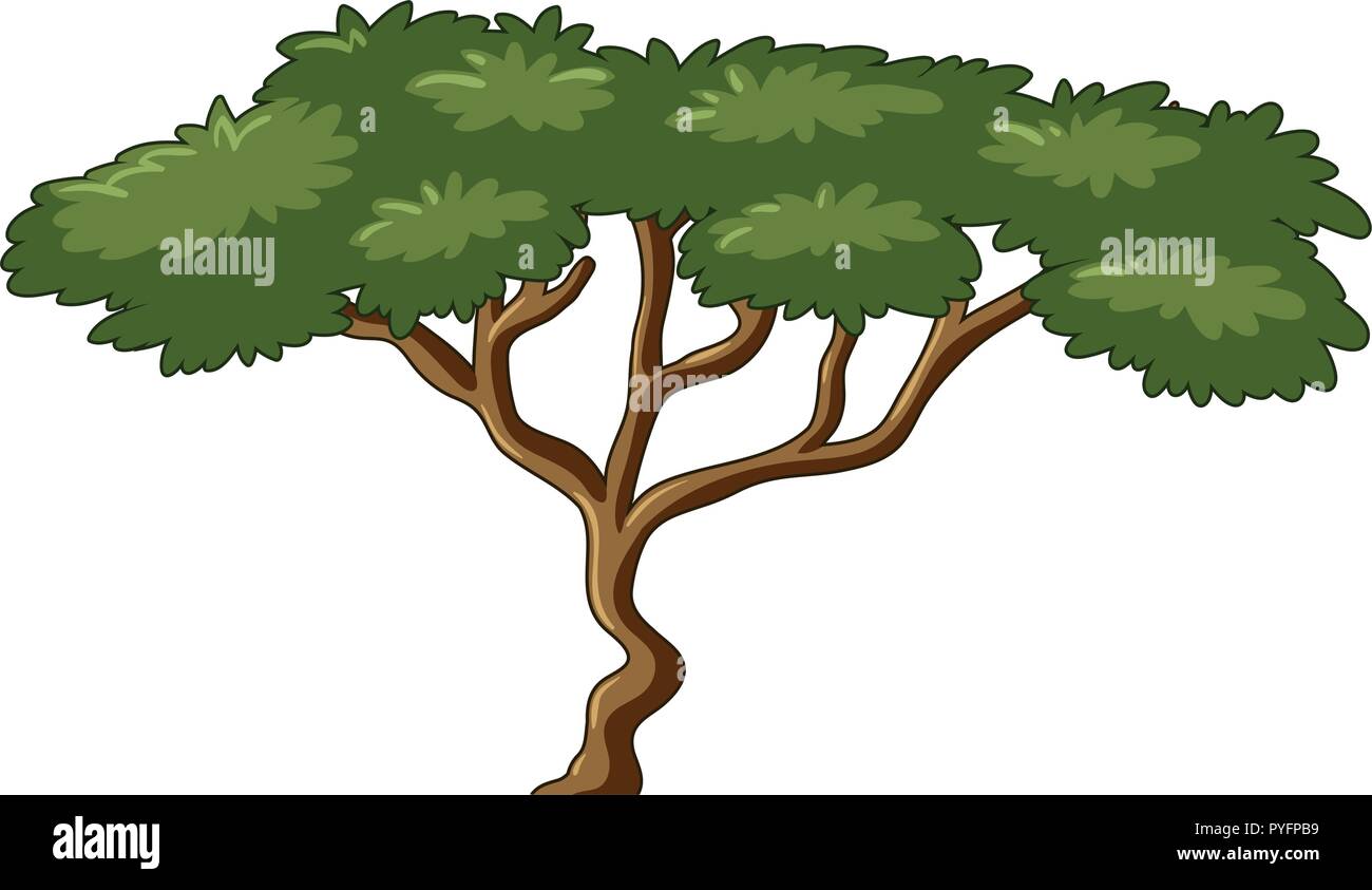 Tree with green leaves illustration Stock Vector Image & Art - Alamy