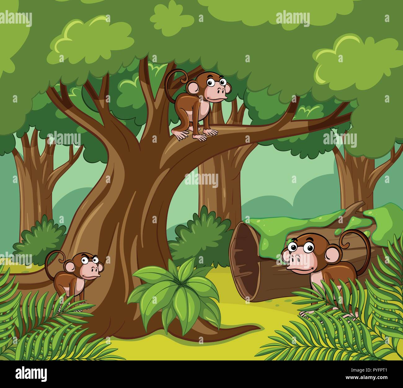 Monkeys living in dark forest illustration Stock Vector Image & Art - Alamy