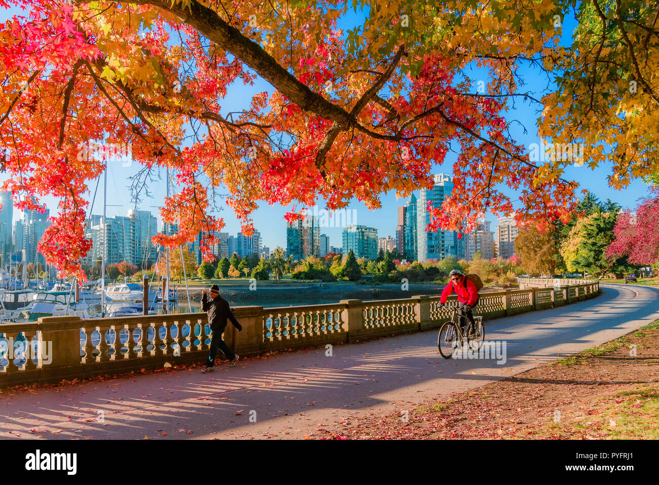 Fall colour, Stanley Park seawall, Vancouver, British Columbia, Canada. Stock Photo