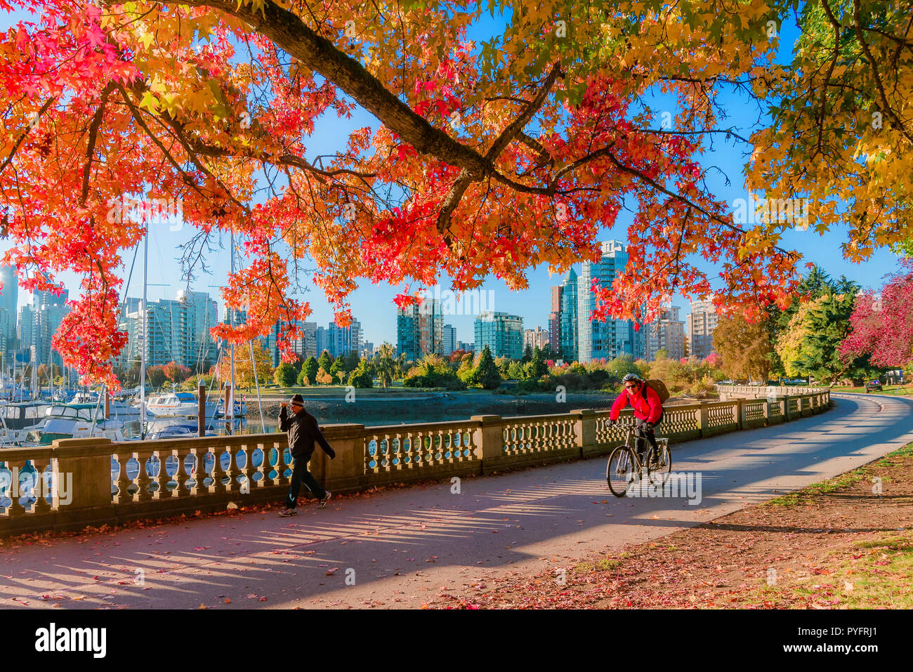 Stanley Park Attractions