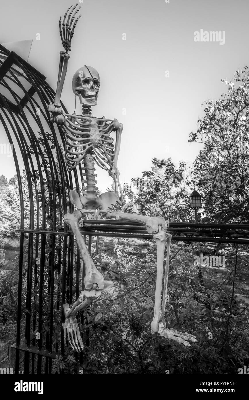 Skeleton halloween Black and White Stock Photos & Images Alamy