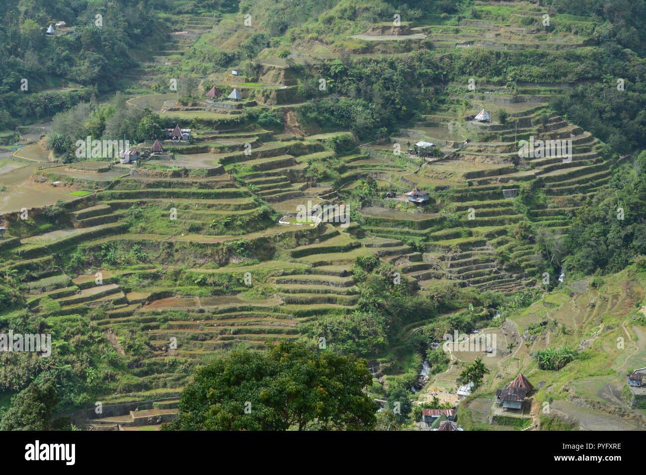 Ifugao Heritage Stock Photos & Ifugao Heritage Stock Images - Alamy
