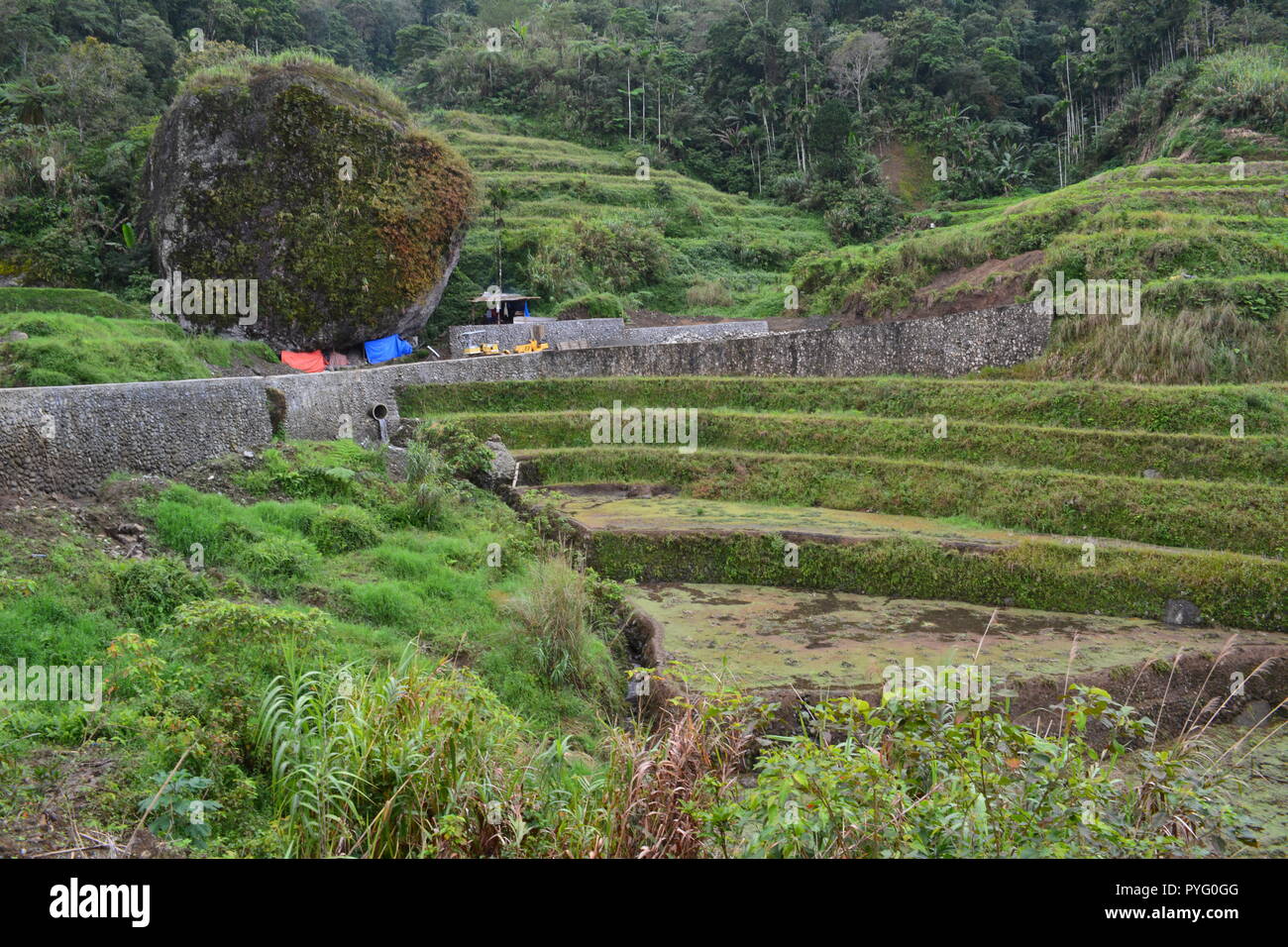 Igorot Agriculture High Resolution Stock Photography and Images - Alamy