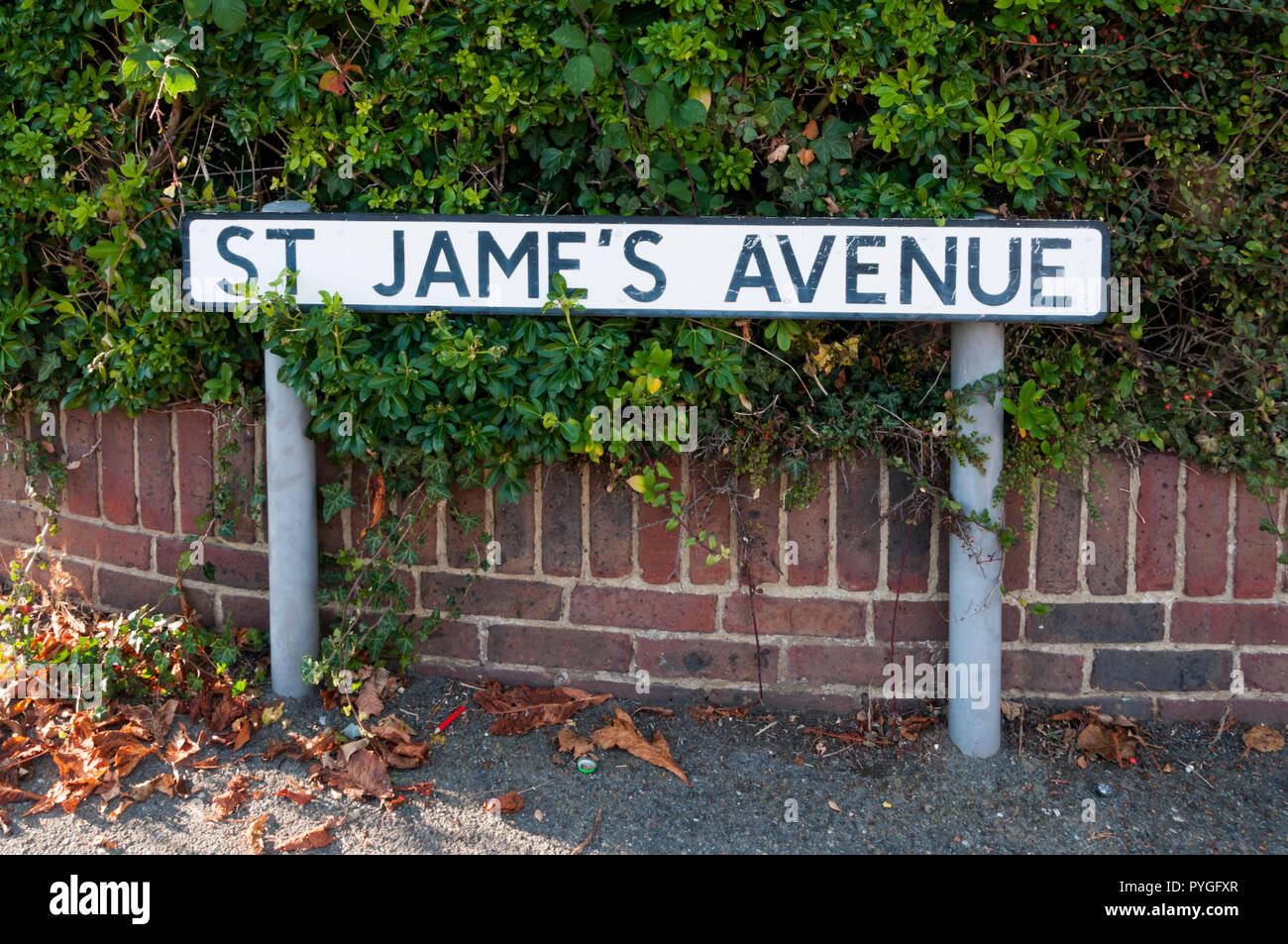 Street name sign reads St Jame's Avenue, with an incorrectly placed apostrophe. Stock Photo