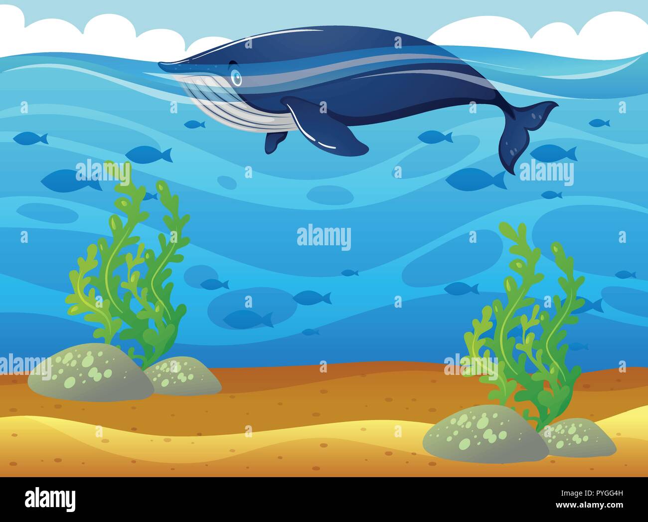 Whale swimming in the sea illustration Stock Vector Image & Art - Alamy