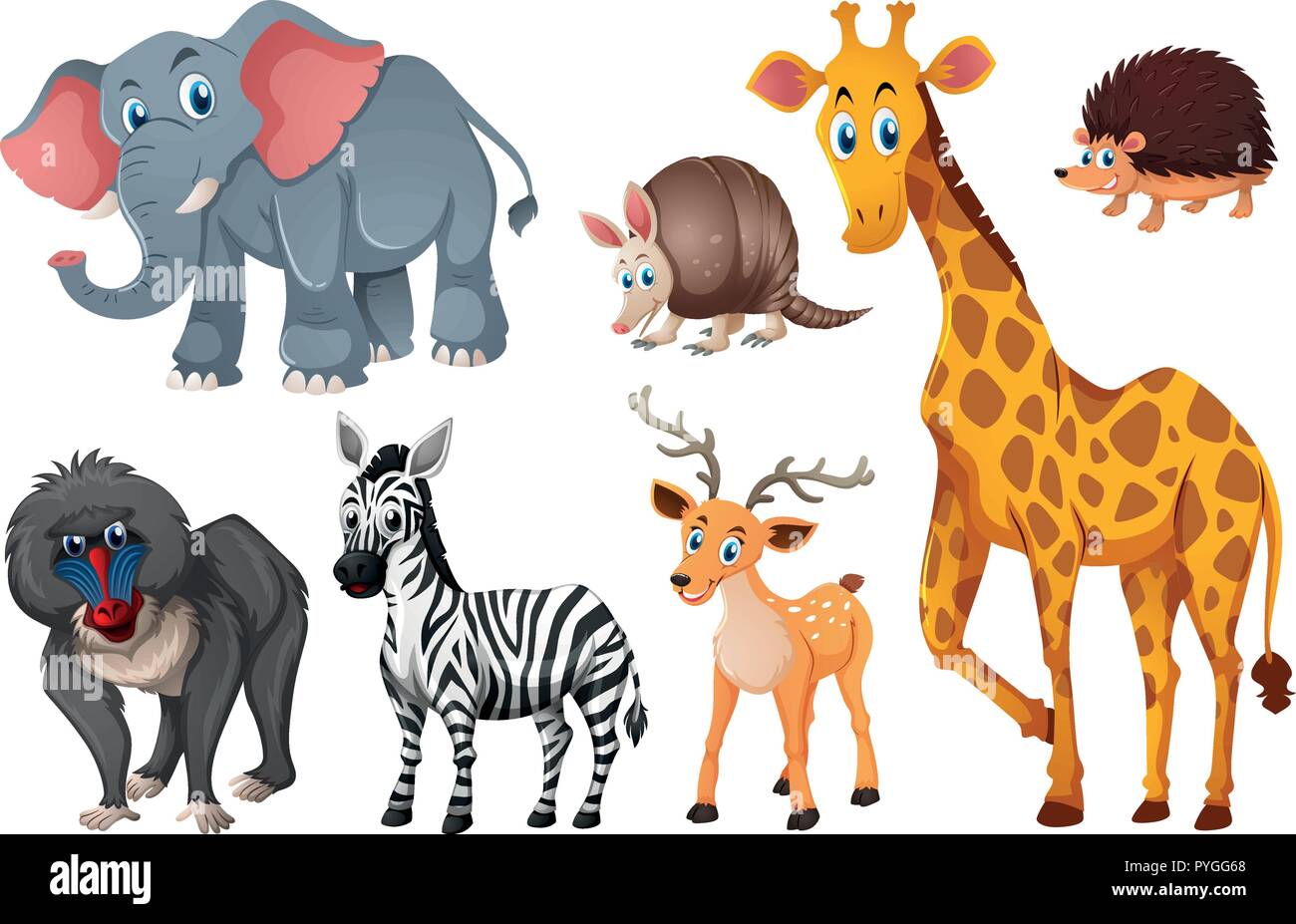 many-types-of-wild-animals-illustration-stock-vector-image-art-alamy