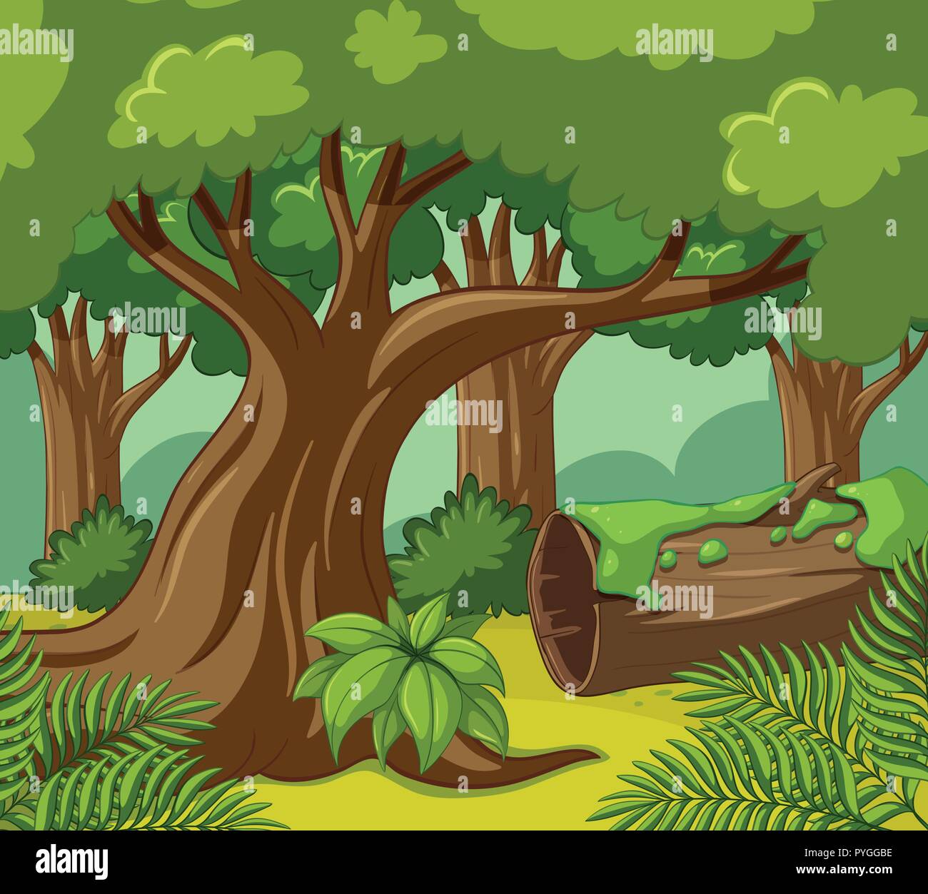 Forest scene with many trees illustration Stock Vector