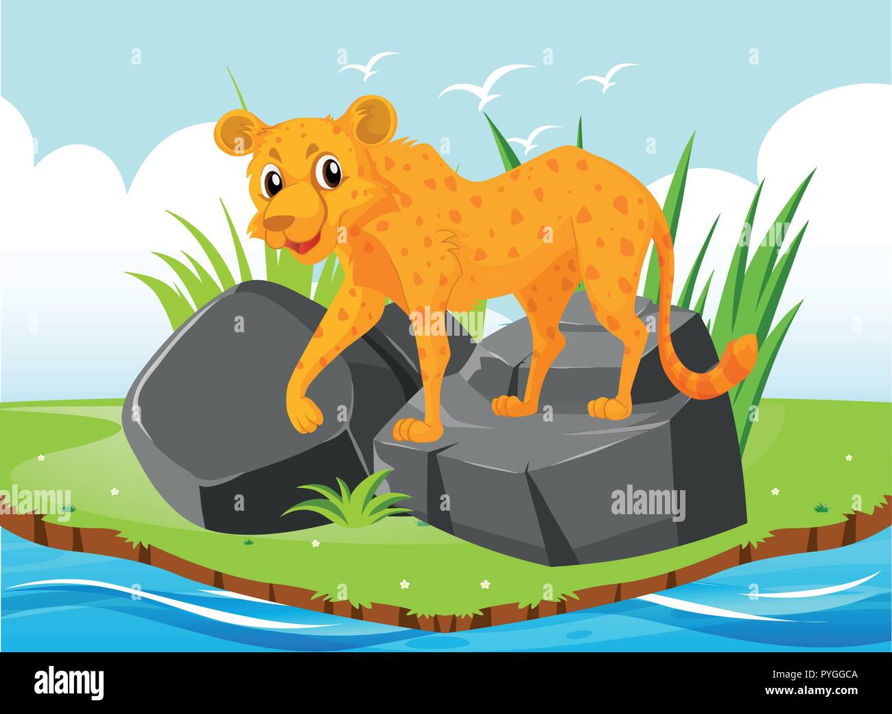 Cheetah tiger on the rock illustration Stock Vector Image & Art - Alamy