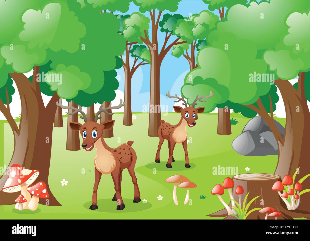 Two deers in the forest illustration Stock Vector Image & Art - Alamy