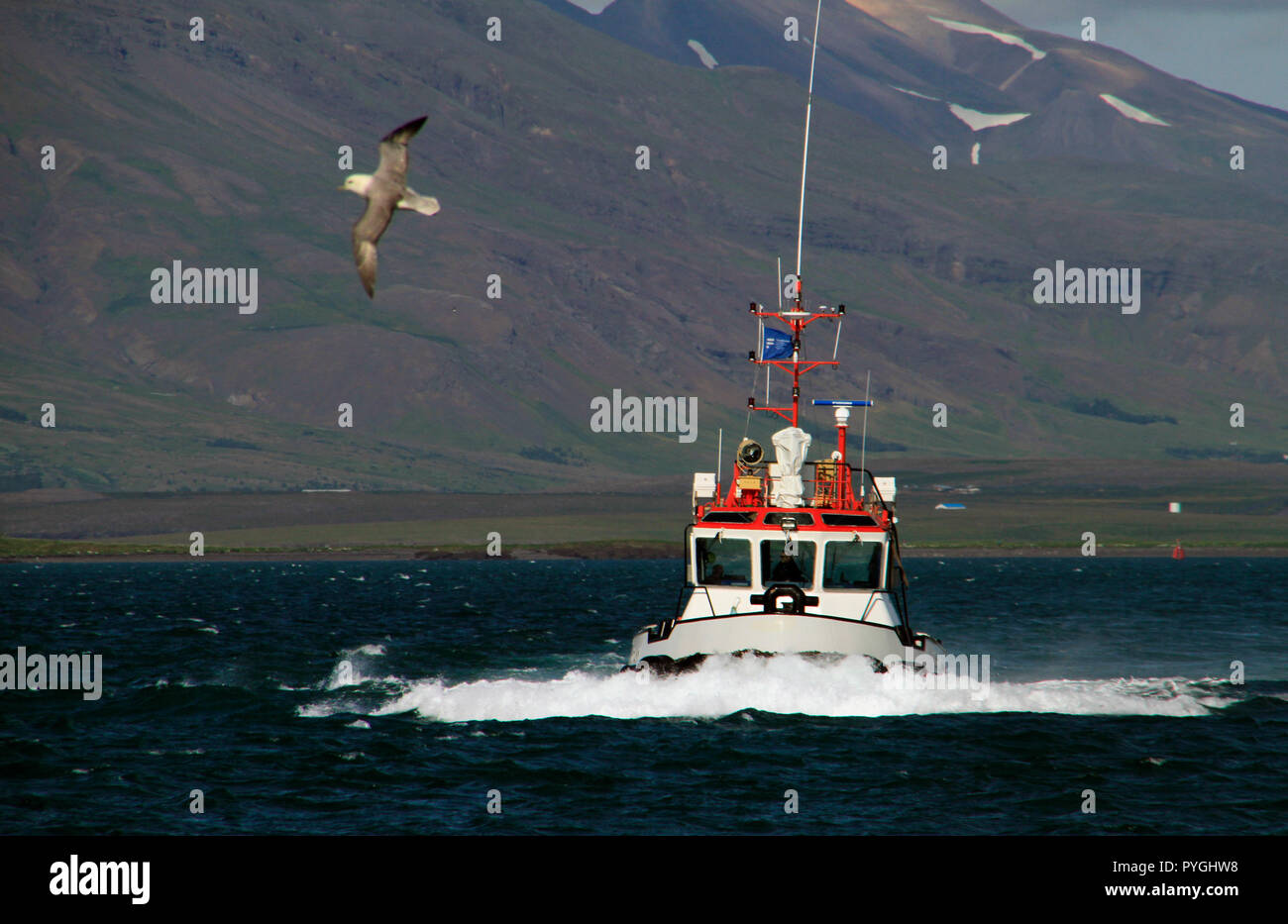 Coast guard boat off the coast of Reykjavik, Iceland Stock Photo - Alamy