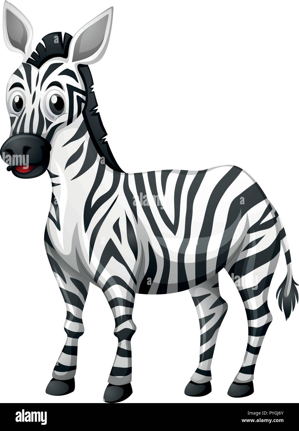 Cute zebra on white background illustration Stock Vector Image & Art ...