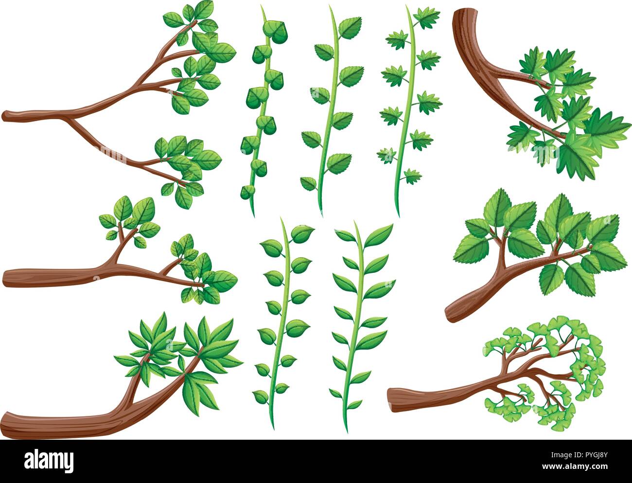 Different patterns of vine and branches illustration Stock Vector Image