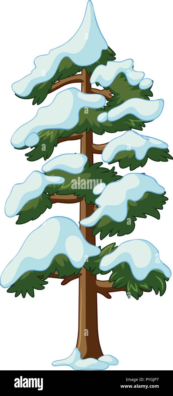 Pine tree covered with snow illustration Stock Vector
