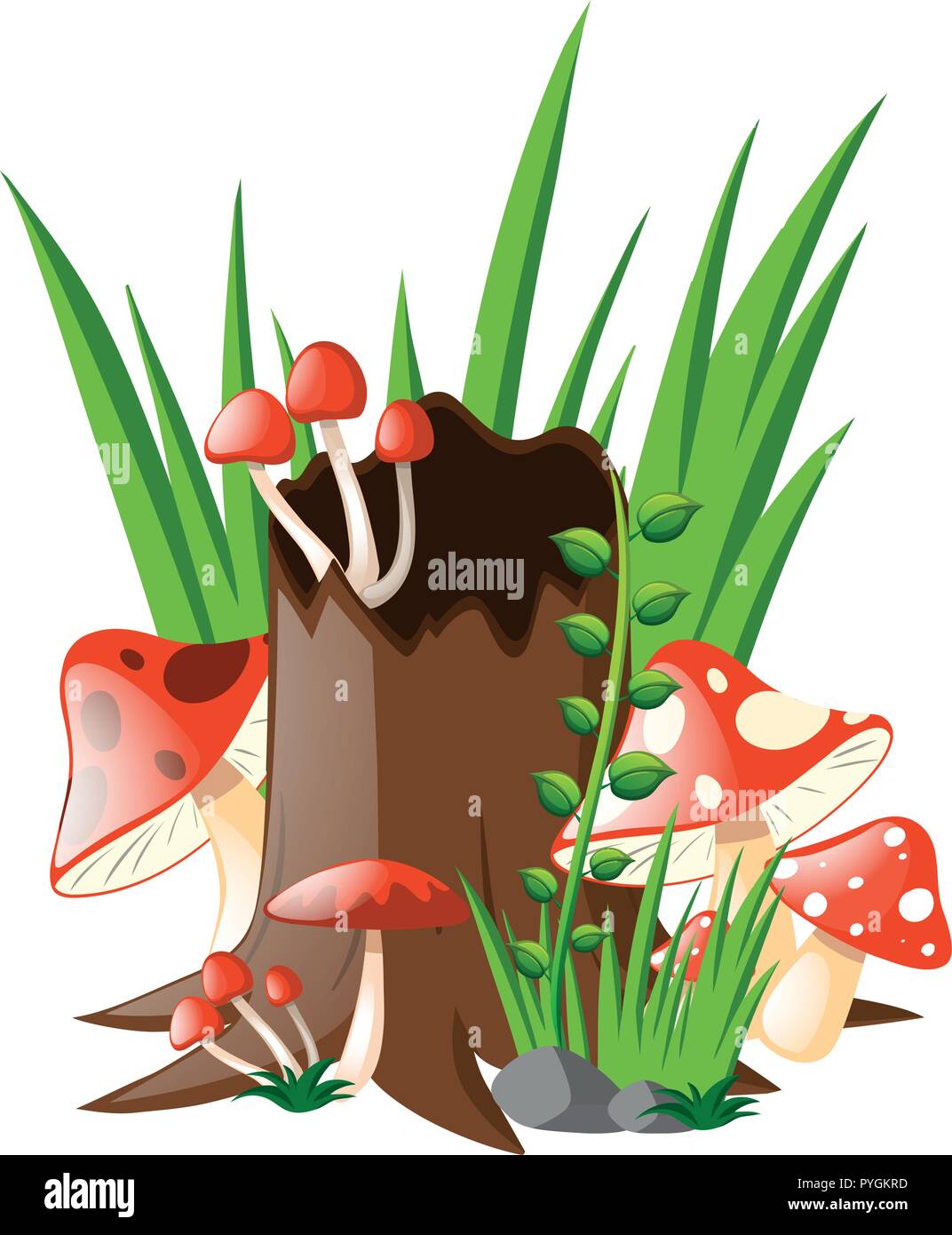 Red mushrooms growing in garden illustration Stock Vector Image & Art