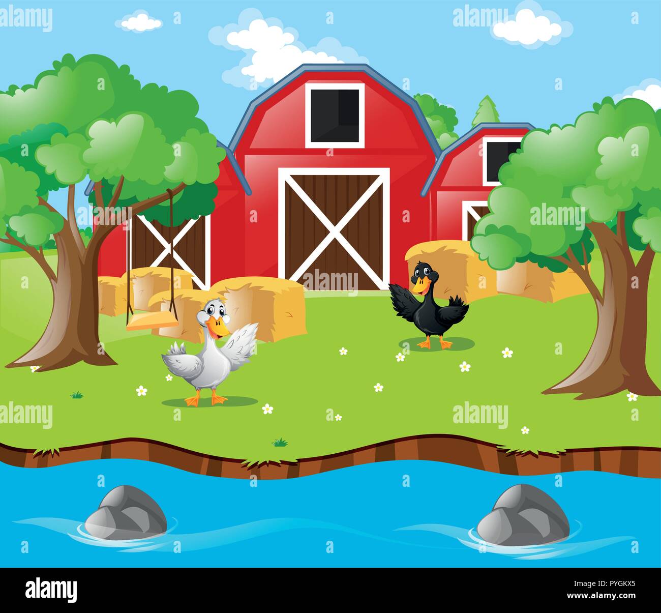 Two ducks in the farm illustration Stock Vector Image & Art - Alamy