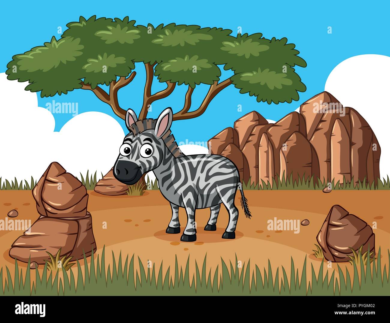 Zebra standing in the field illustration Stock Vector Image & Art - Alamy