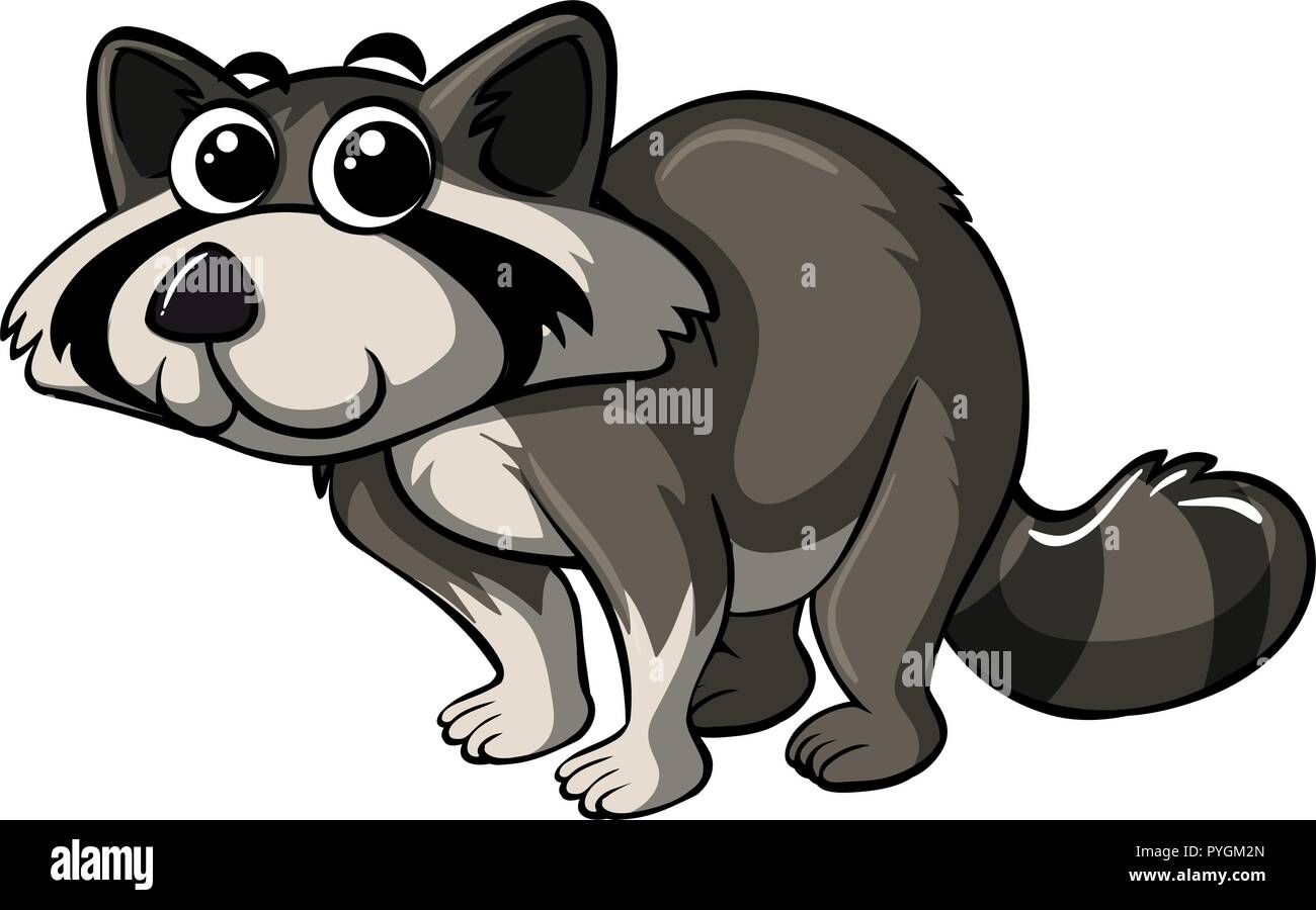 Raccoon with happy face illustration Stock Vector Image & Art - Alamy