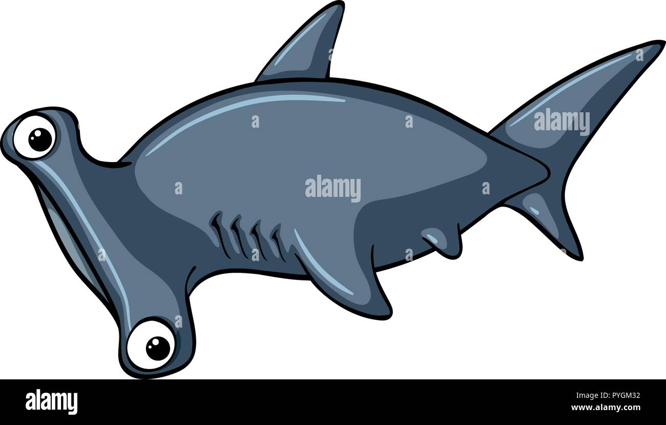 Hammerhead shark on white background illustration Stock Vector