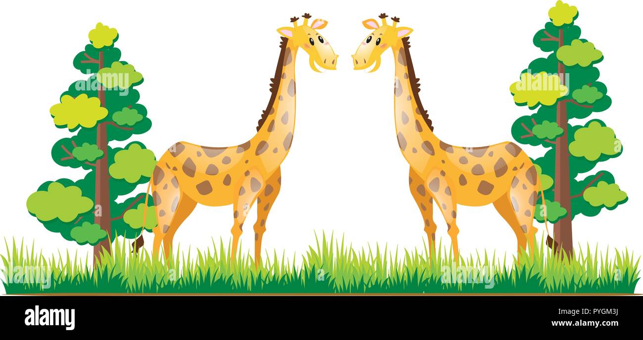 Two giraffes standing in the park illustration Stock Vector Image & Art ...