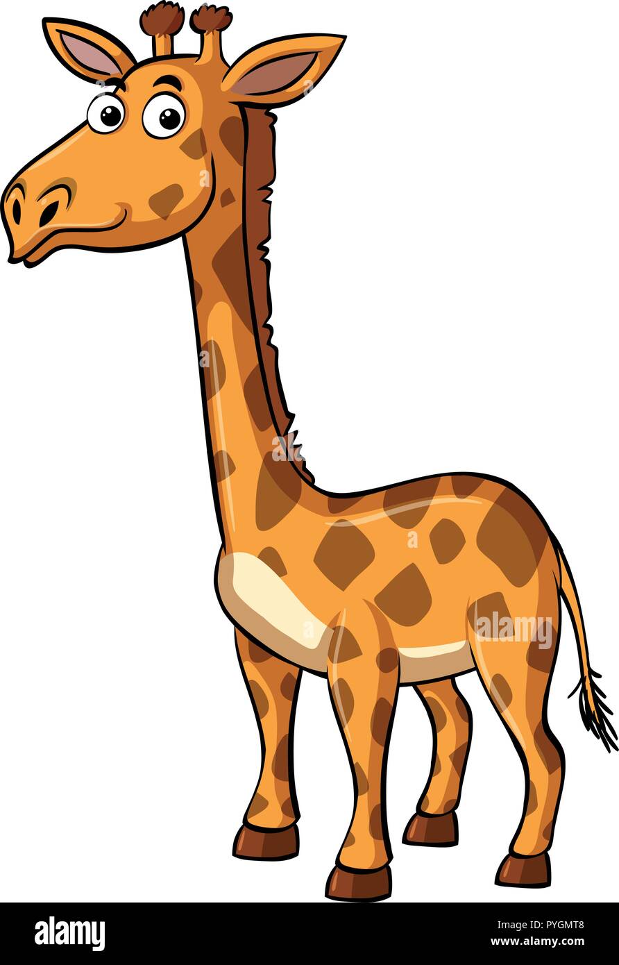 Cute giraffe on white background illustration Stock Vector Image & Art ...