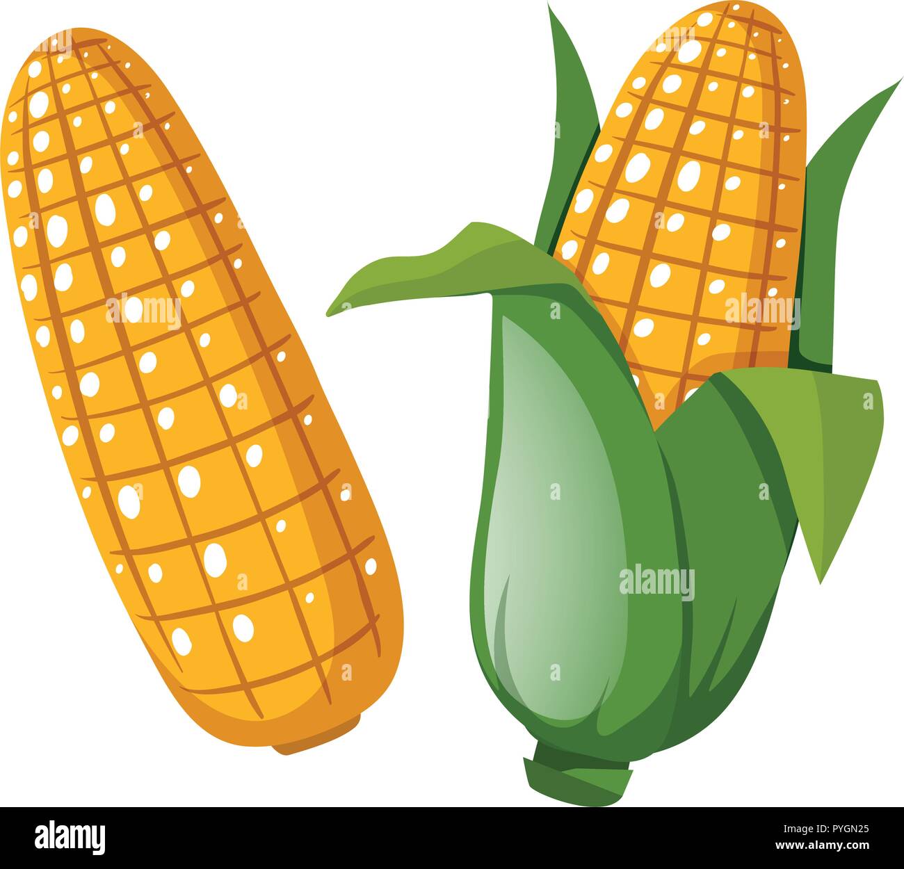 Ear Of Corn Clipart