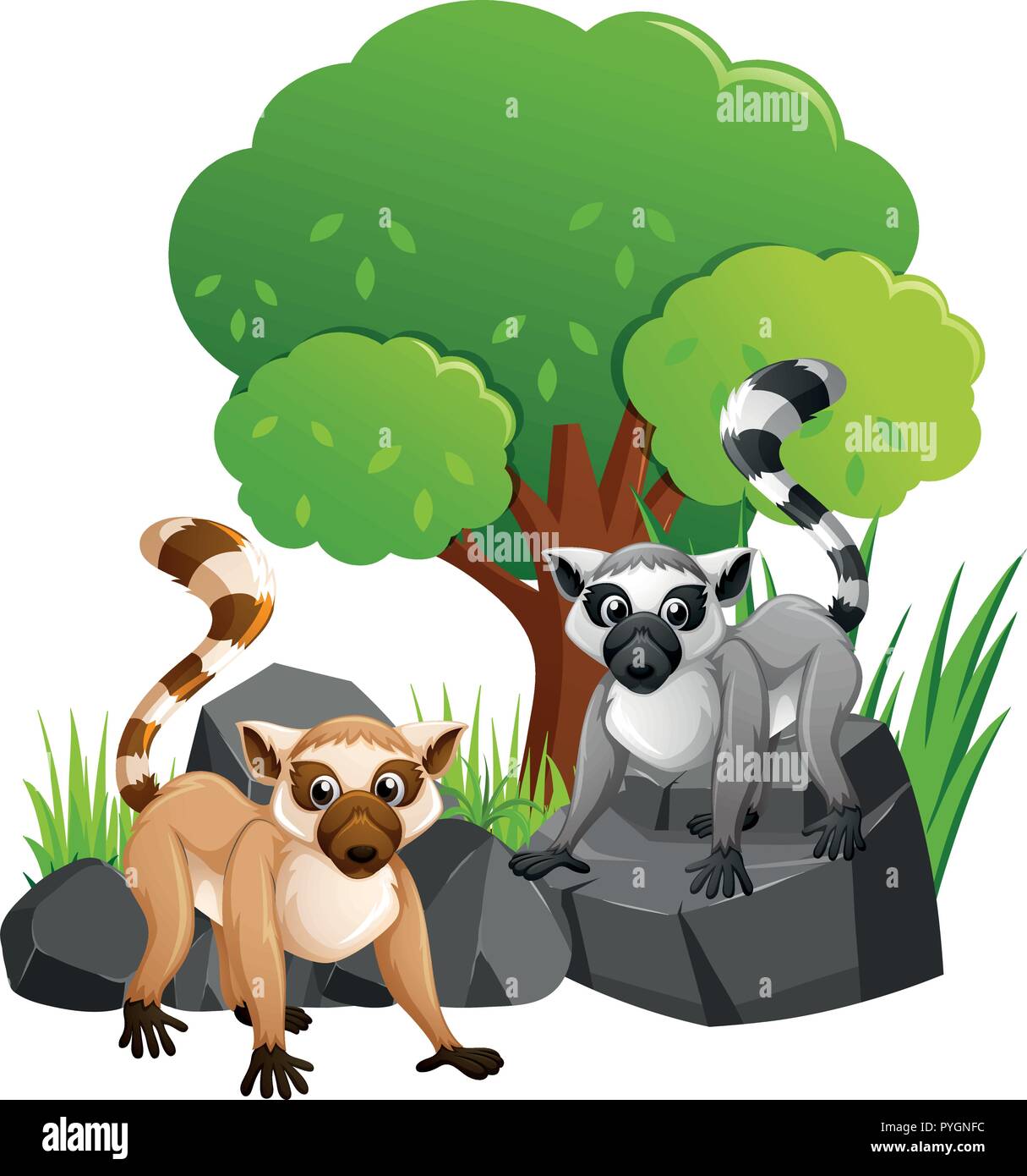 Two cute lemures on rocks illustration Stock Vector