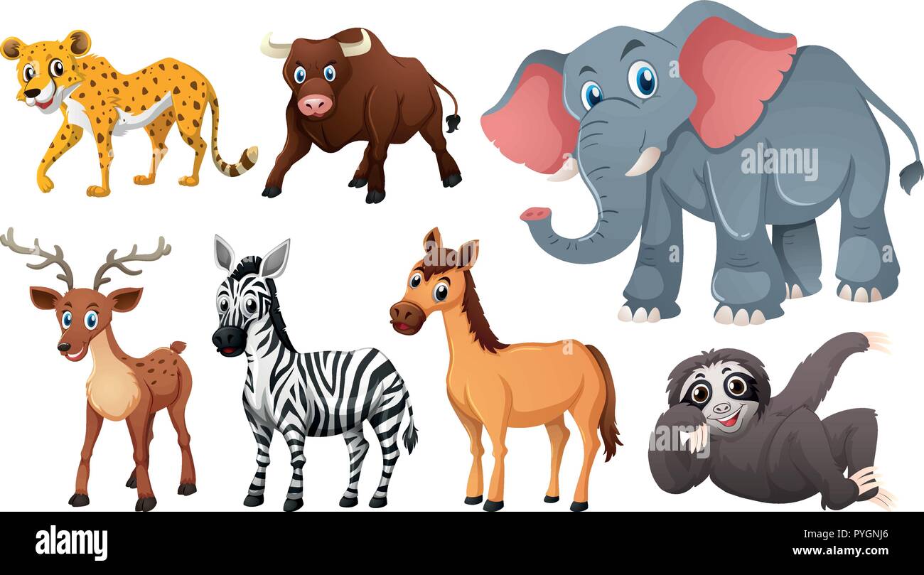 Wild animals on white background illustration Stock Vector Image & Art