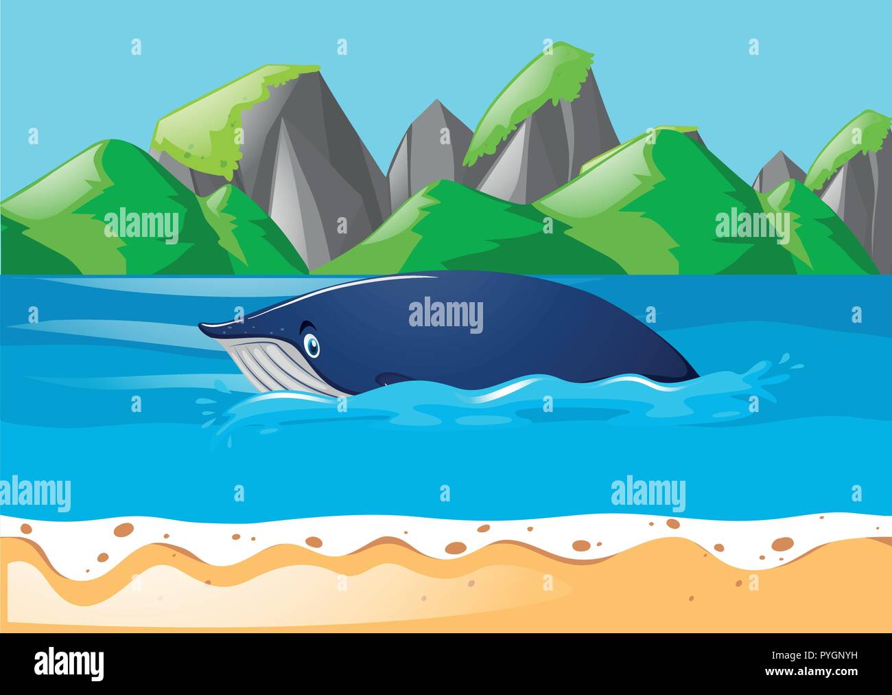 Blue whale swimming in ocean illustration Stock Vector Image & Art - Alamy